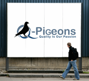 q-pigeons